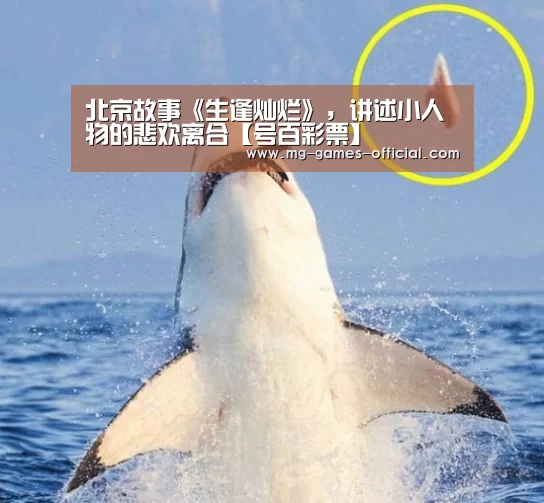 北京故事《生逢灿烂》,讲述小人物的悲欢离合【号百彩票】(图2) 号百彩票走势分析